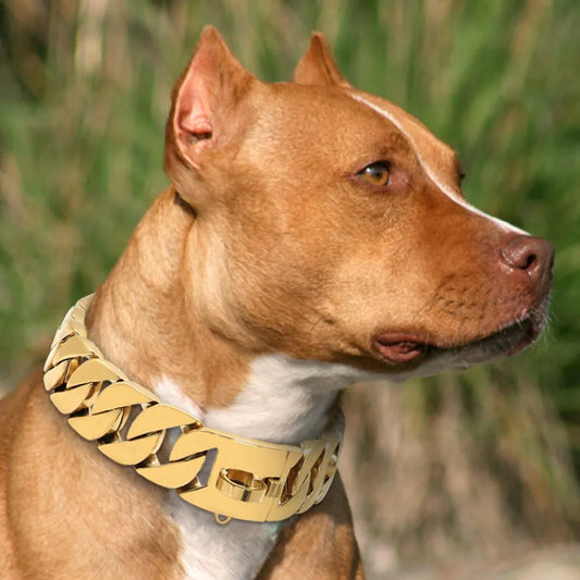 Stainless Steel Dog Chain - Strong & Durable Leash for Medium to Large Dogs