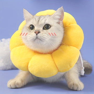 Cat wearing a small and comfortable sunflower recovery collar