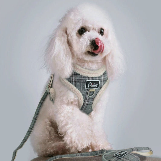Puppy Dog Harness & Leash Set - Adjustable & Comfortable for Safe Walks
