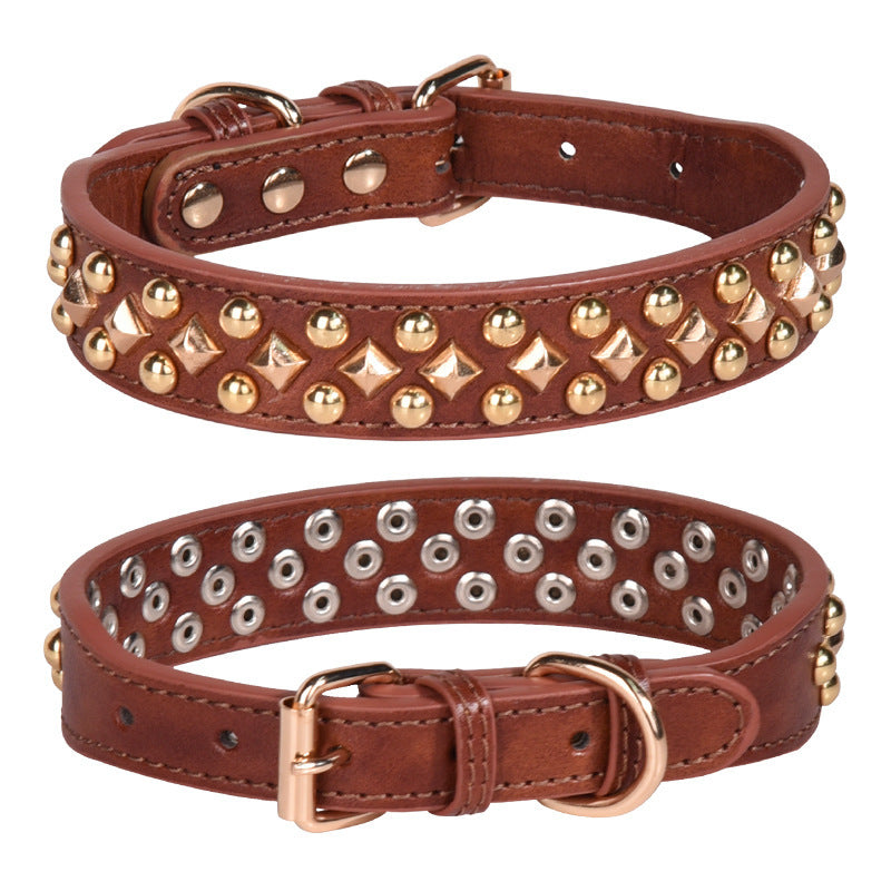 Dog wearing a rivet leather golden collar with retro style