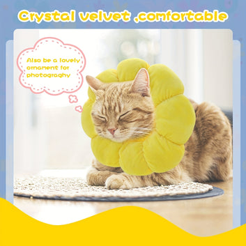 Sunflower Recovery Collar for Cats - Small, Comfortable & Promotes Wound Healing