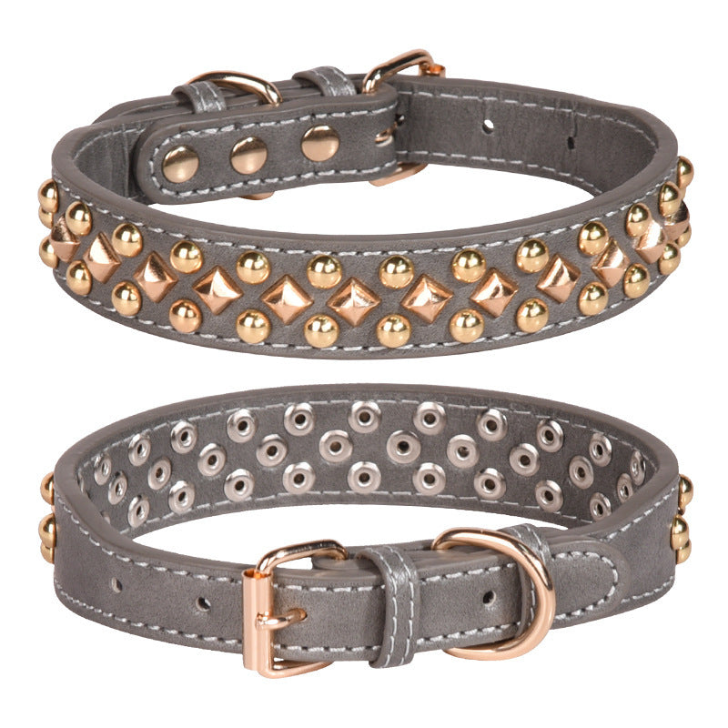 Dog wearing a rivet leather golden collar with retro style