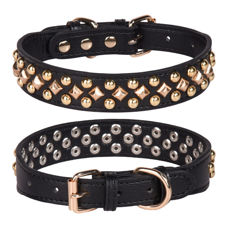 Dog wearing a rivet leather golden collar with retro style
