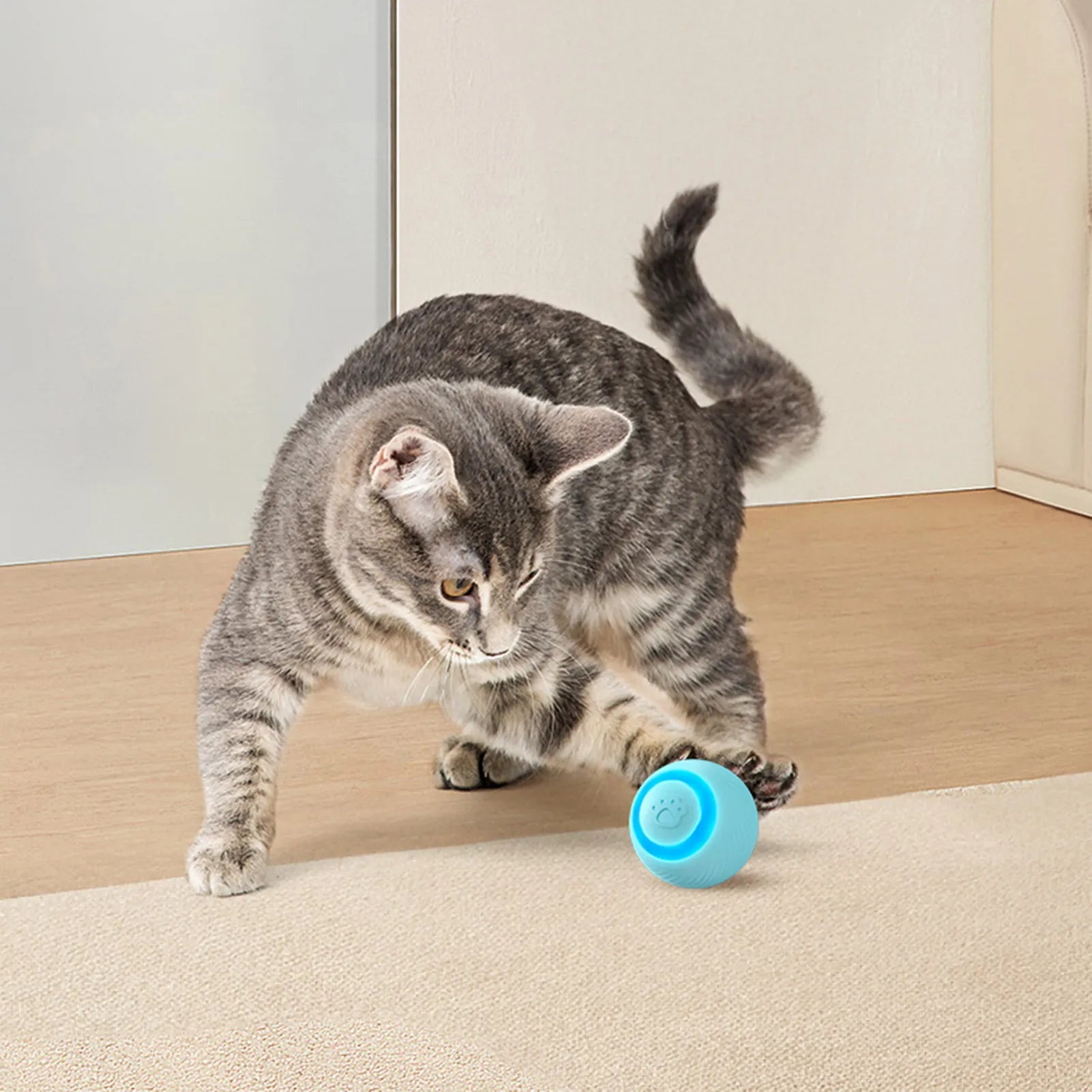 Automatic rolling magic ball interactive toy for fun and entertainment for cats