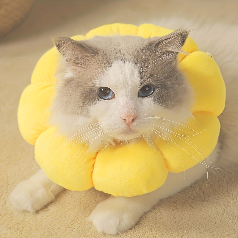 Sunflower Recovery Collar for Cats - Small, Comfortable, and Promotes Wound Healing