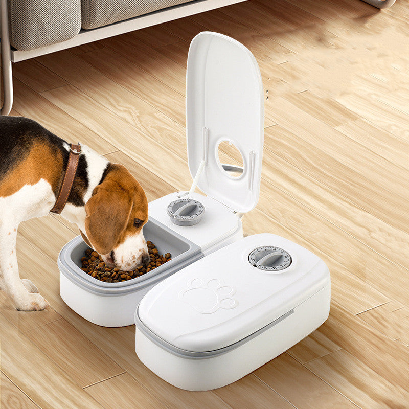 Pet using an automatic feeder with a smart food timer for regular meals