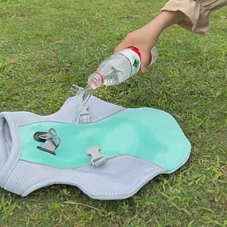 Dog wearing a summer pet cooling vest to stay cool